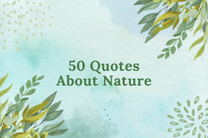 50 Quotes About Nature to Remind You of the Beauty of Mother Earth